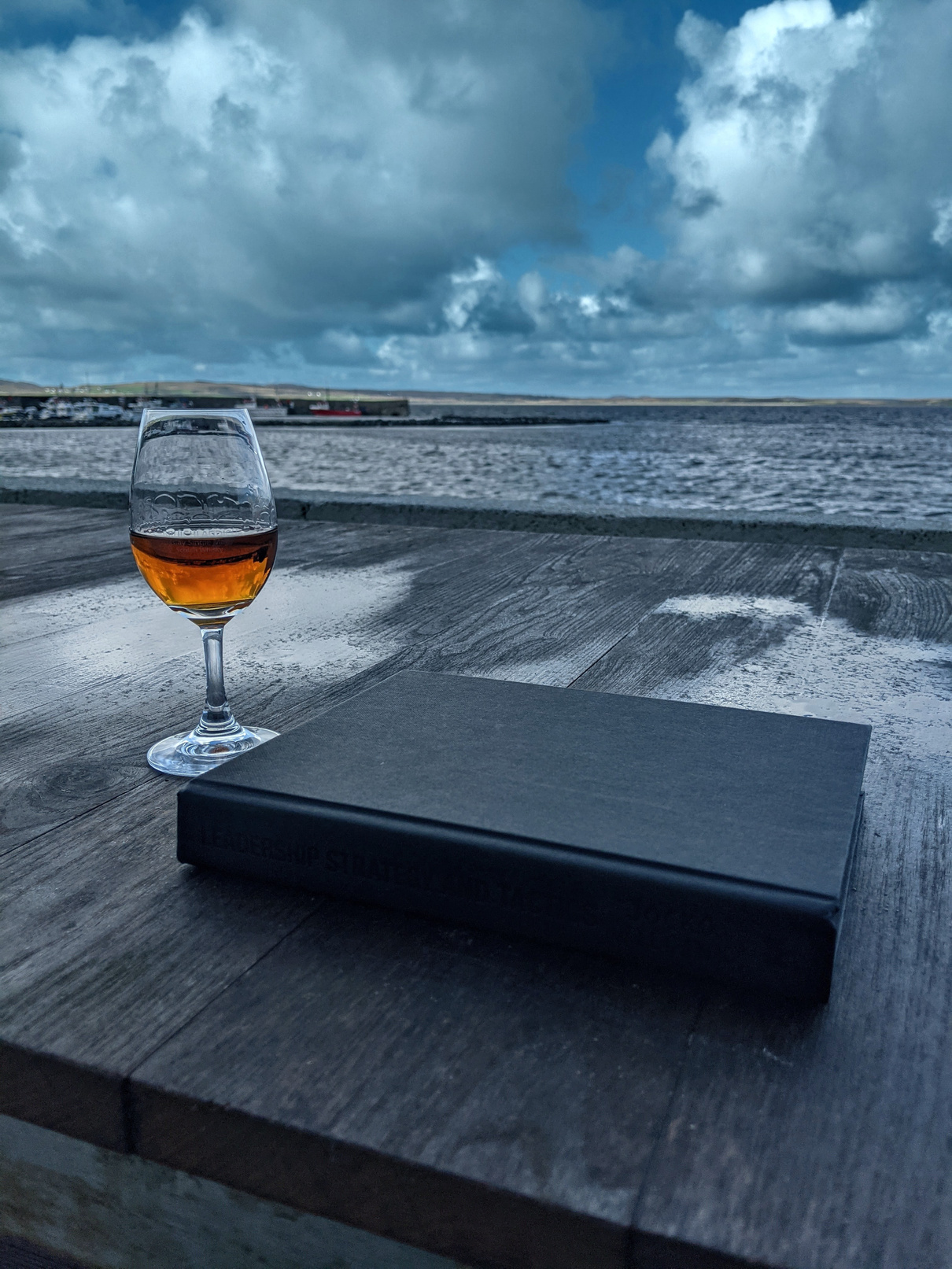 A picture of a whisky glass, a book and the coast.